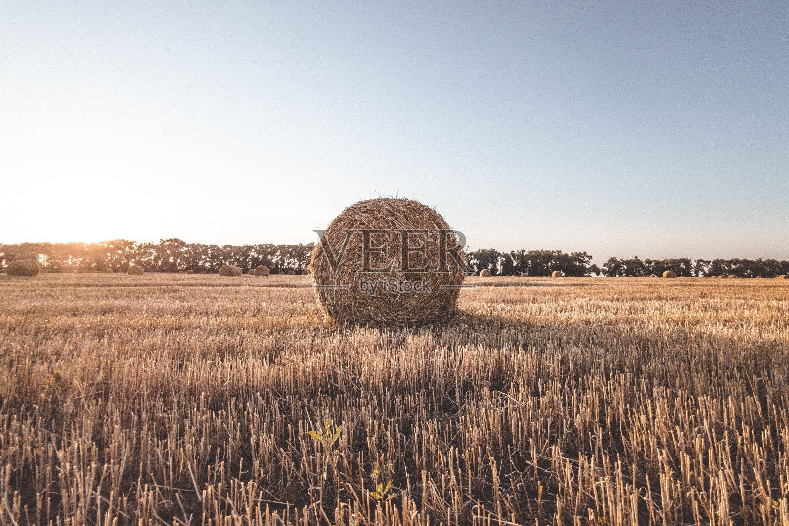 日落时干草在田野上打滚。照片摄影图片