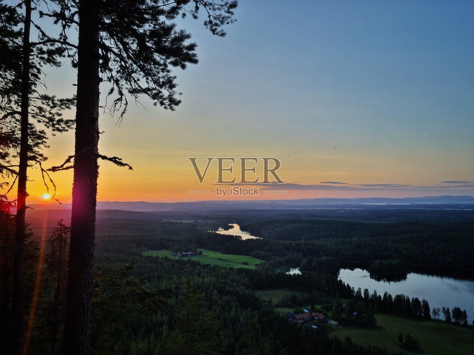 树2照片摄影图片