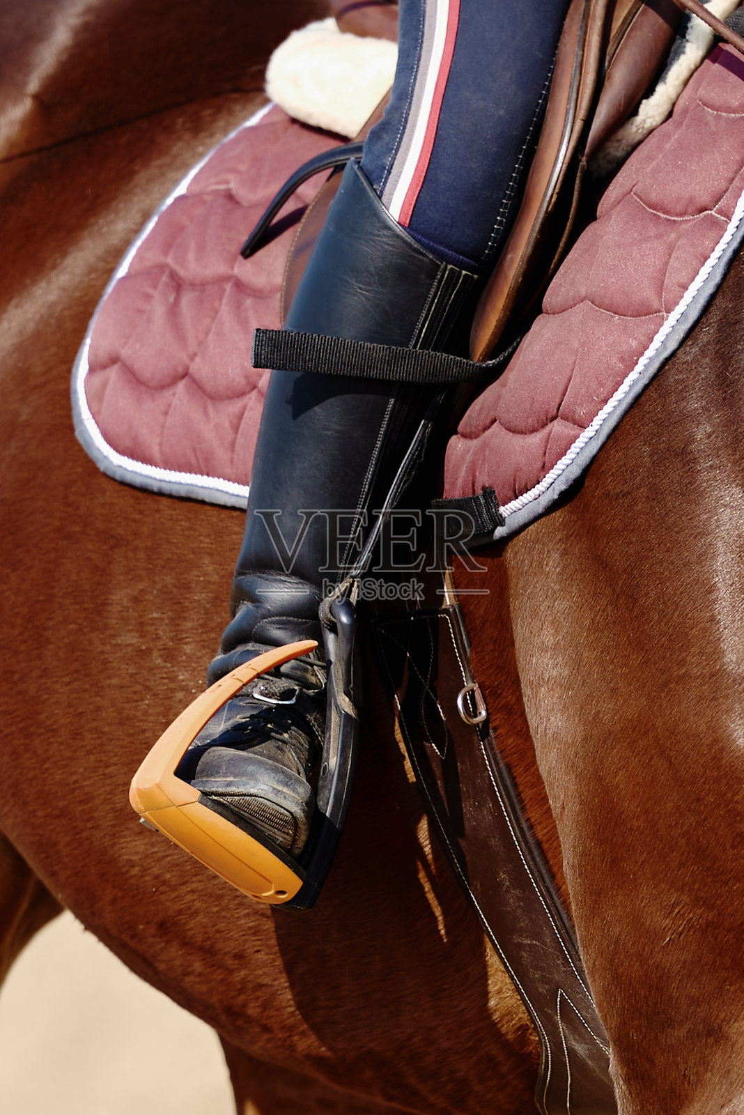 关闭黑色皮革马靴在马镫上的棕色马，复制空间。马术运动。马镫上骑手的腿照片摄影图片