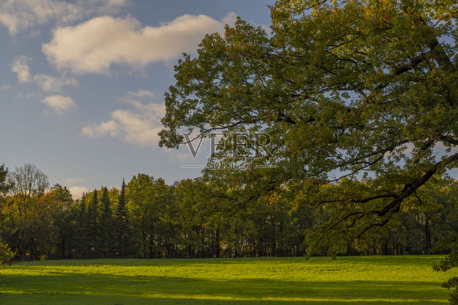 秋天照片摄影图片