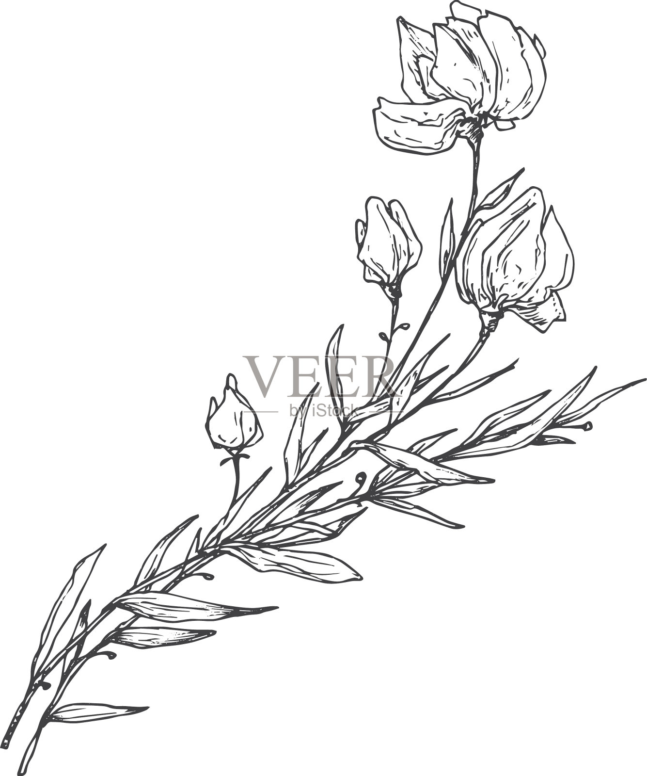 花枝与花瓣手绘涂鸦设计元素图片