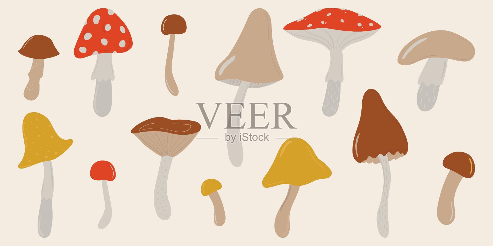 手绘的有毒和可食用蘑菇。苍蝇木耳，蟾蜍，牛肚菌，乳白色的帽子。涂鸦插图的野生森林元素在复古的颜色。为设计和打印的矢量剪贴画插画图片素材