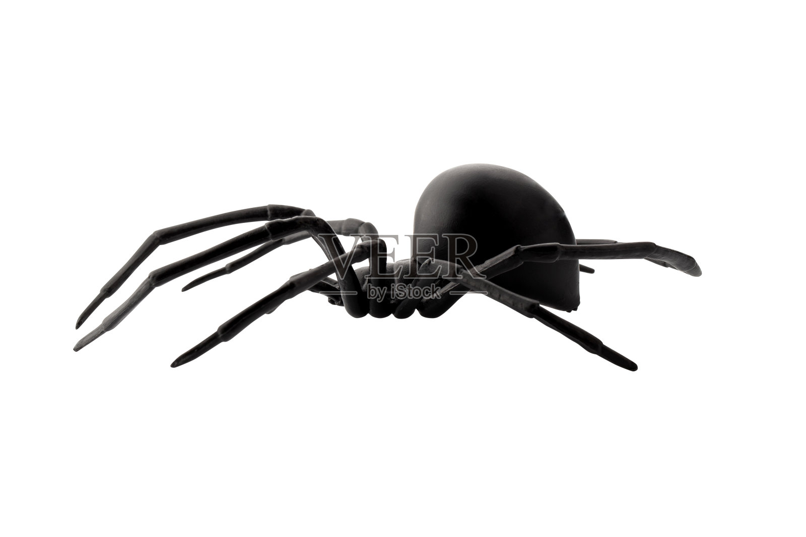 假橡胶蜘蛛玩具被隔离在白色背景上照片摄影图片
