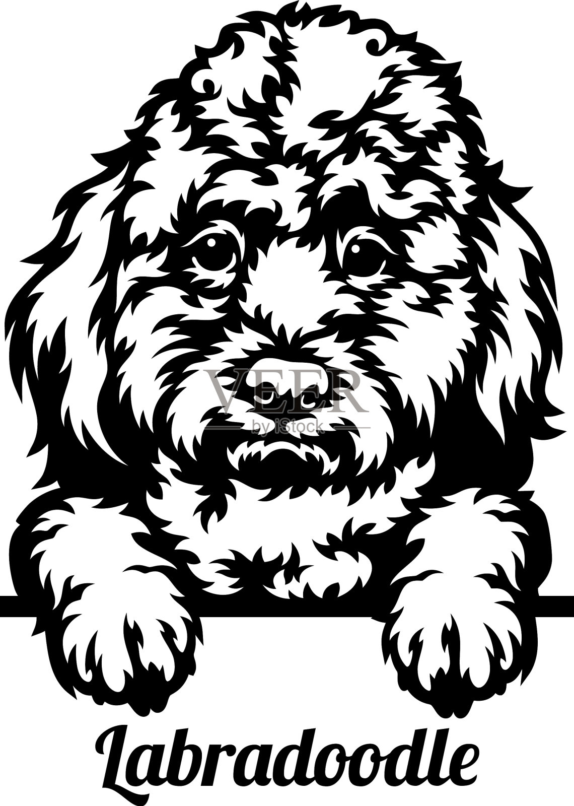 拉布拉多混血窥犬-头孤立上插画图片素材