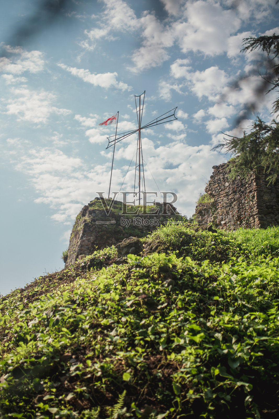 亚热带山区植被密集-山坡上的落叶和针叶植物照片摄影图片