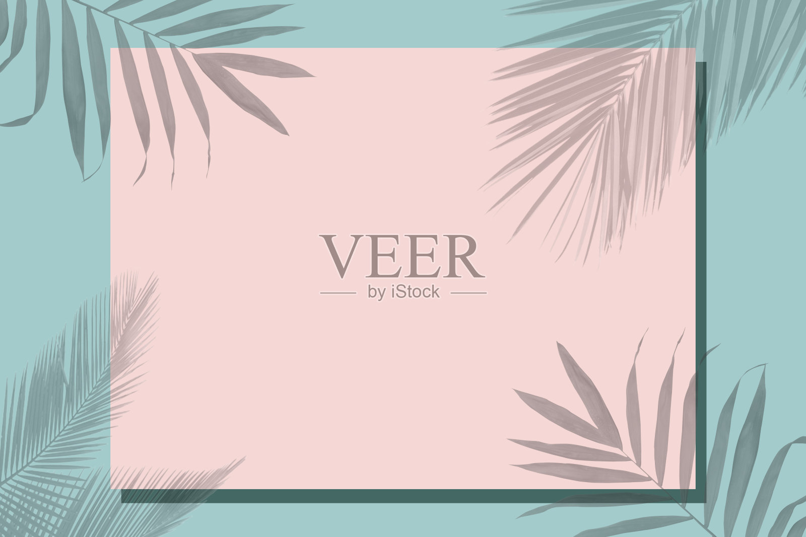 在绿色背景上，一个粉红色的框架覆盖着热带树叶的阴影。插画图片素材