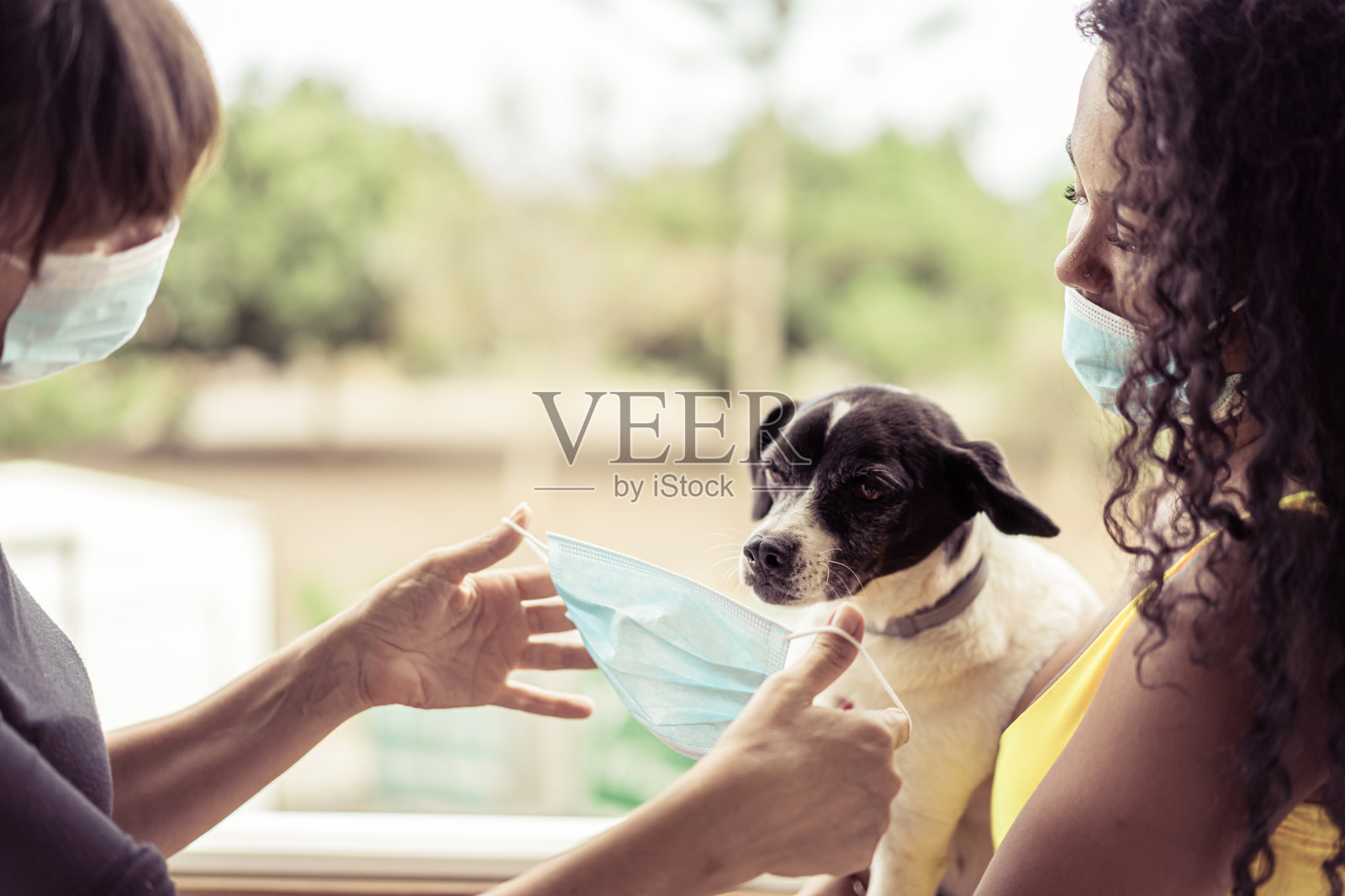 女人出门，带着她的狗，一切预防措施。女士担心冠状病毒。是时候带着她的宠物出门了，带上口罩和手套。Covid 19的概念。图像照片摄影图片