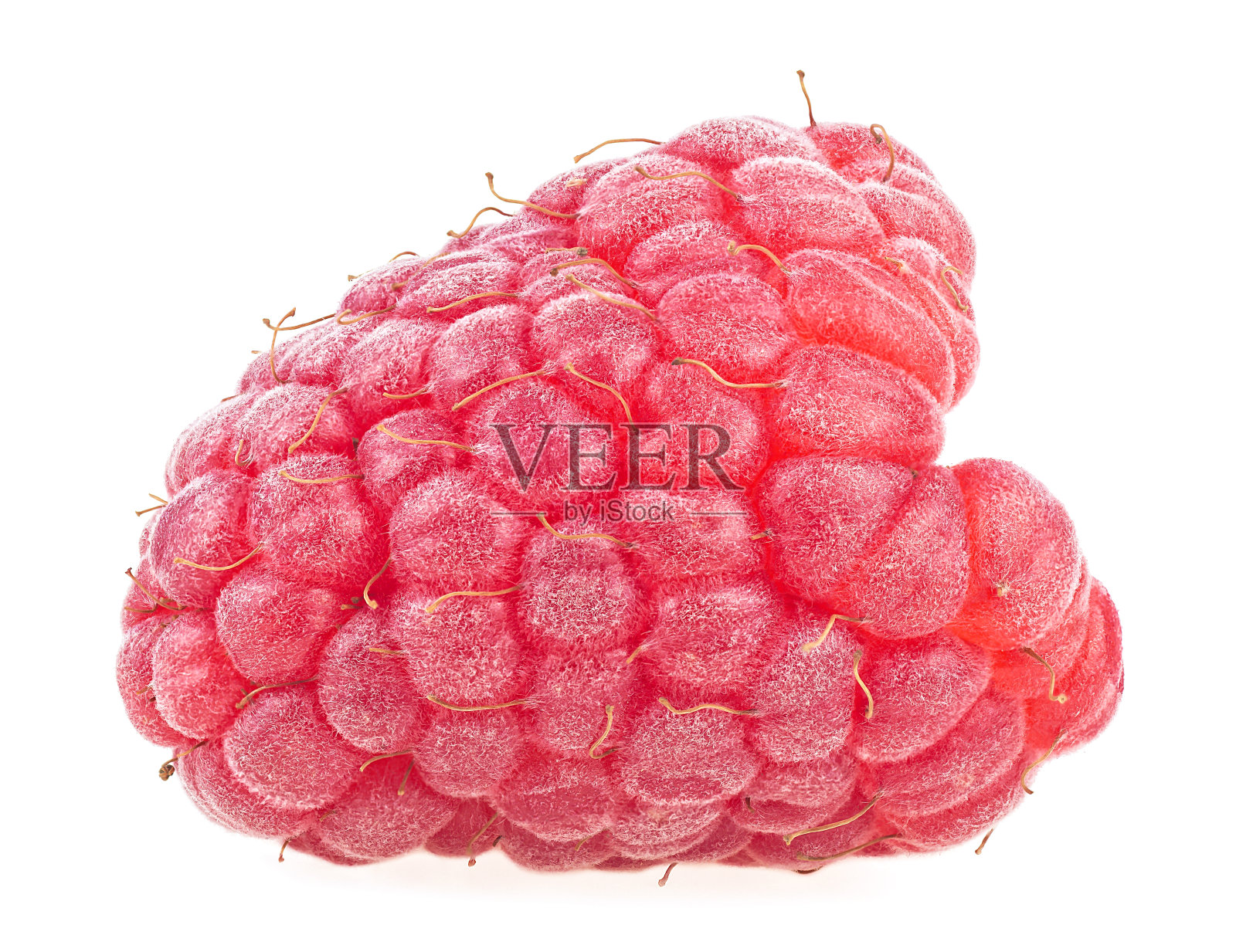 新鲜成熟的覆盆子孤立在白色的背景，接近。甜树莓。照片摄影图片