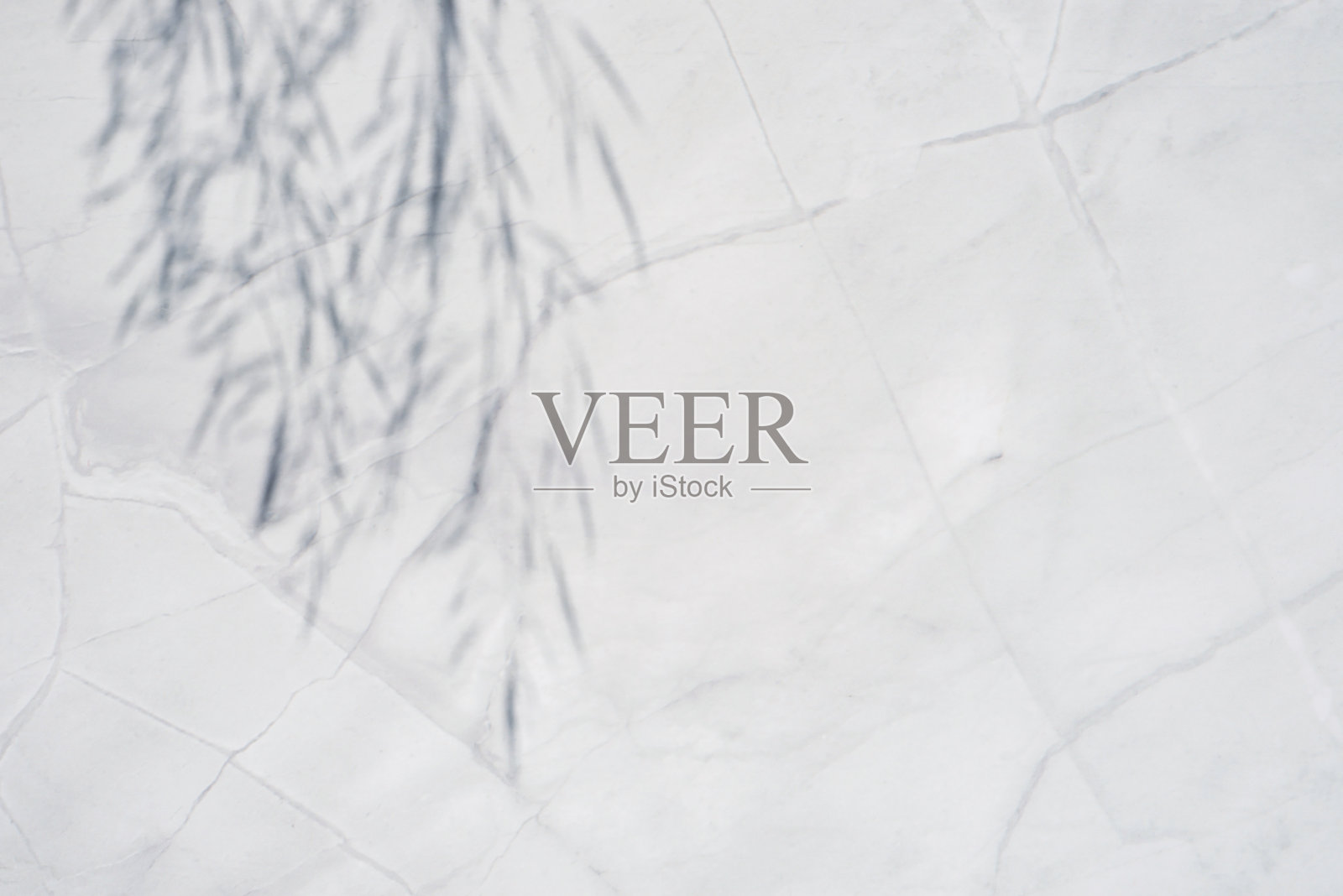 白色大理石表面植物阴影的自然材料的趋势概念。照片摄影图片