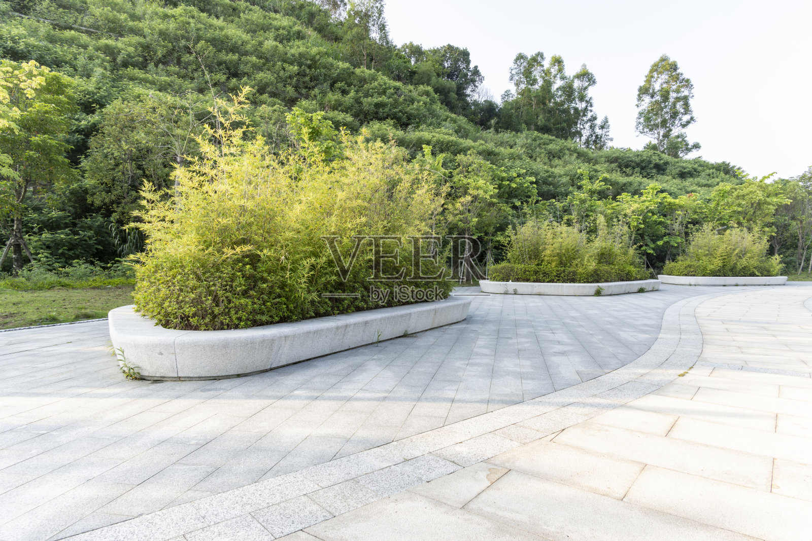 现代城市中的绿色公园。锻炼和放松。照片摄影图片