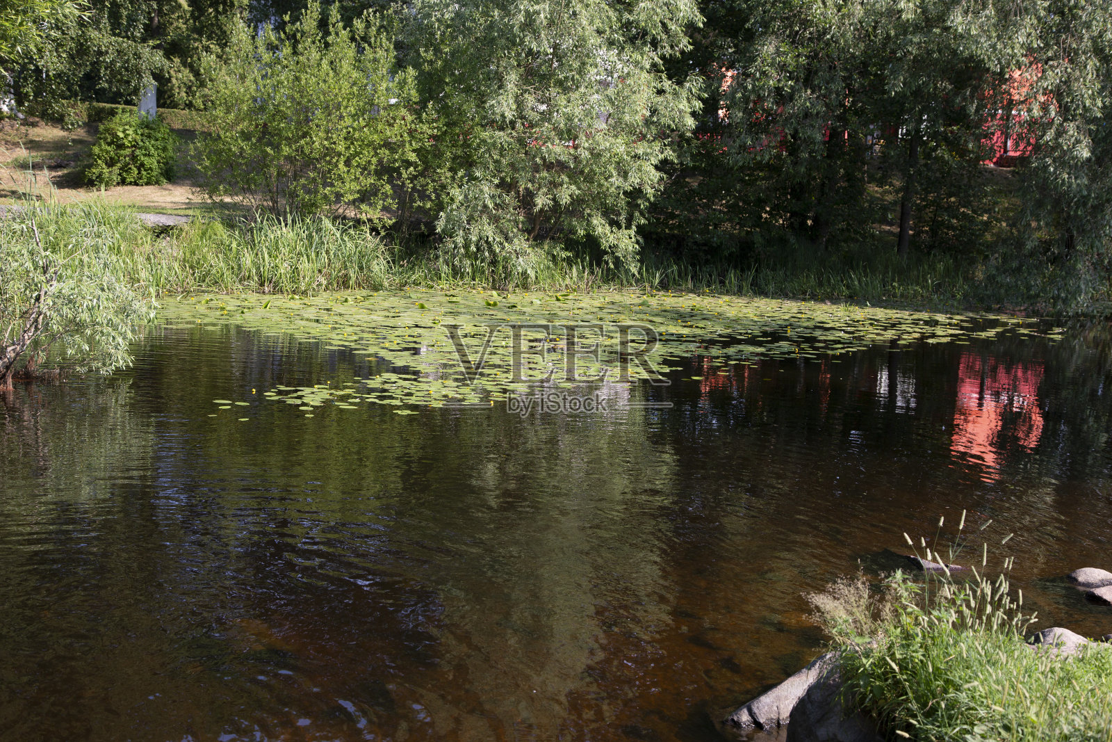 俄罗斯列宁格勒地区Priozersk市的Vuoksa河景观照片摄影图片