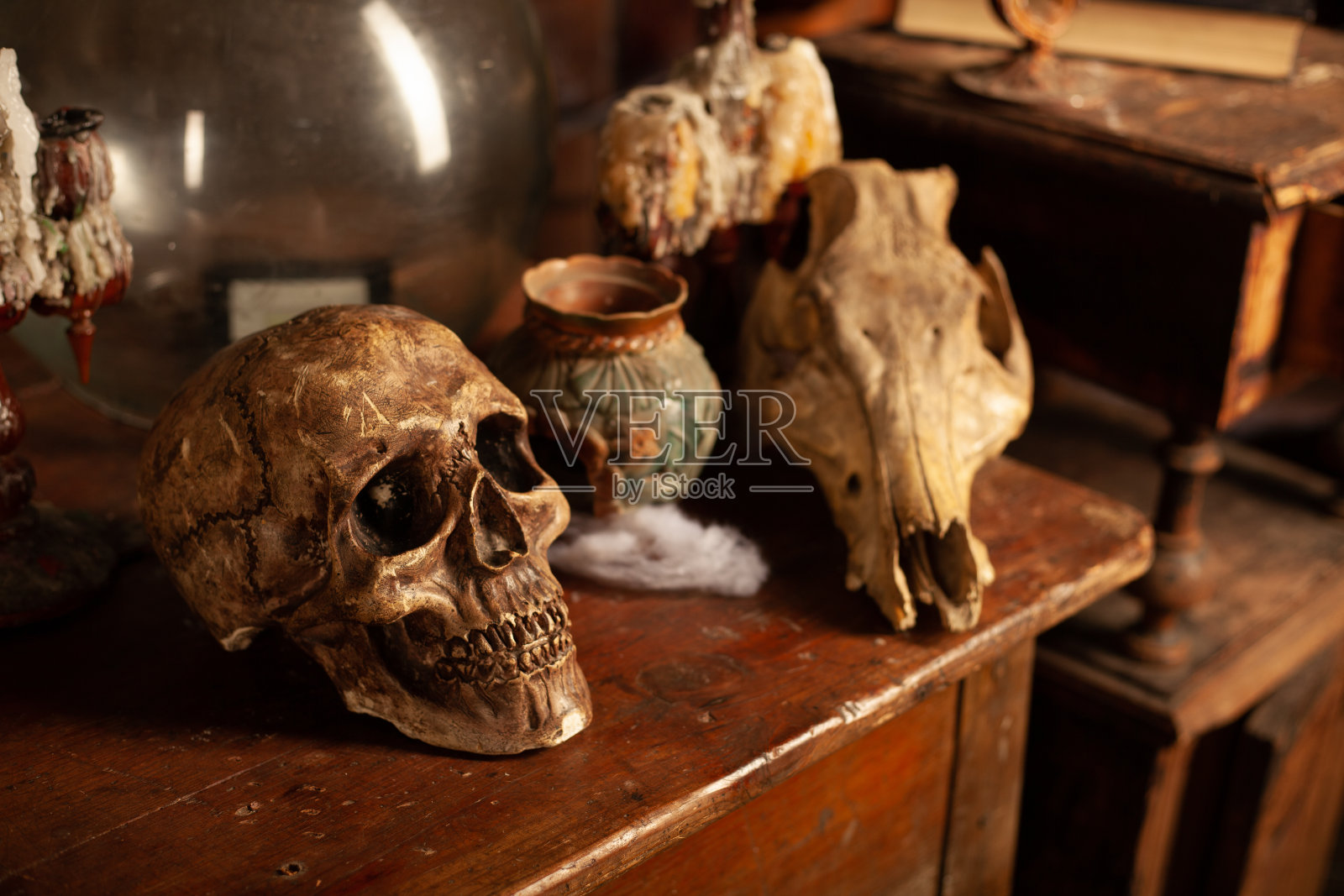 万圣节的背景书架上有炼金术工具骷髅蜘蛛网瓶和毒蜡烛照片摄影图片