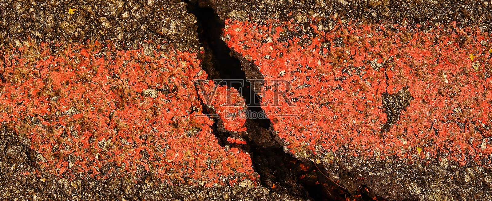 新的Citt生活照片摄影图片