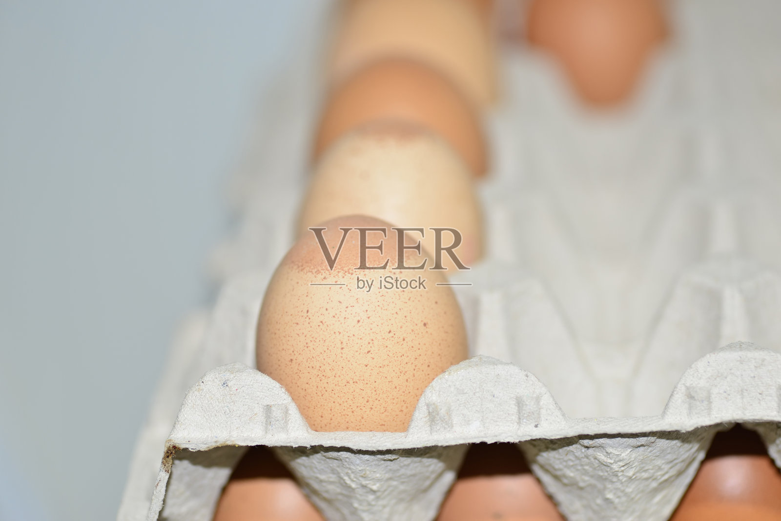 鸡:农场上的家养或自制的产蛋母鸡。照片摄影图片