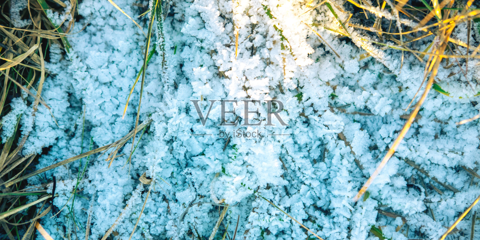 阳光下白雪皑皑的林间空地的如画特写，冬日的背景。照片摄影图片