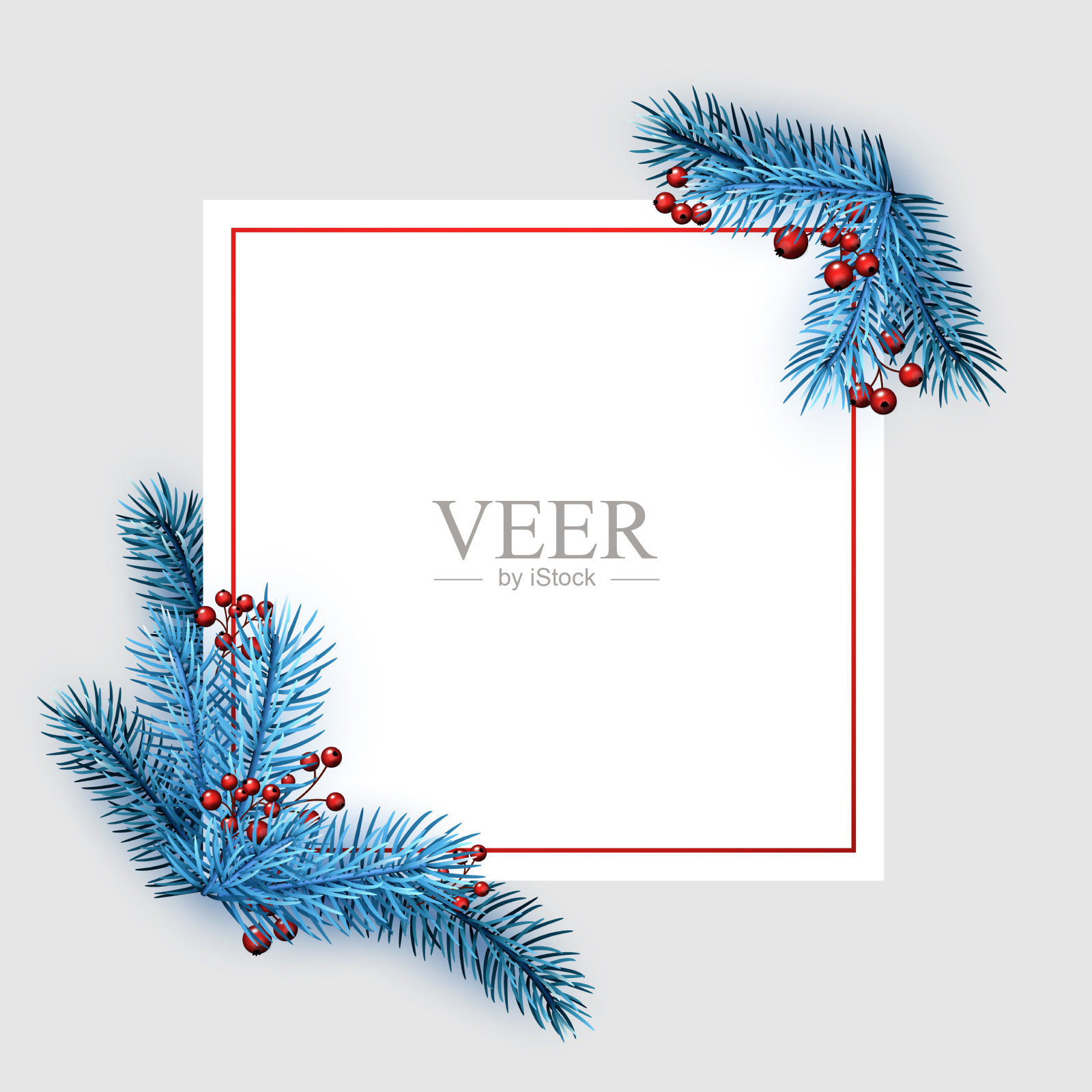 蓝色云杉树枝的方形框架插画图片素材