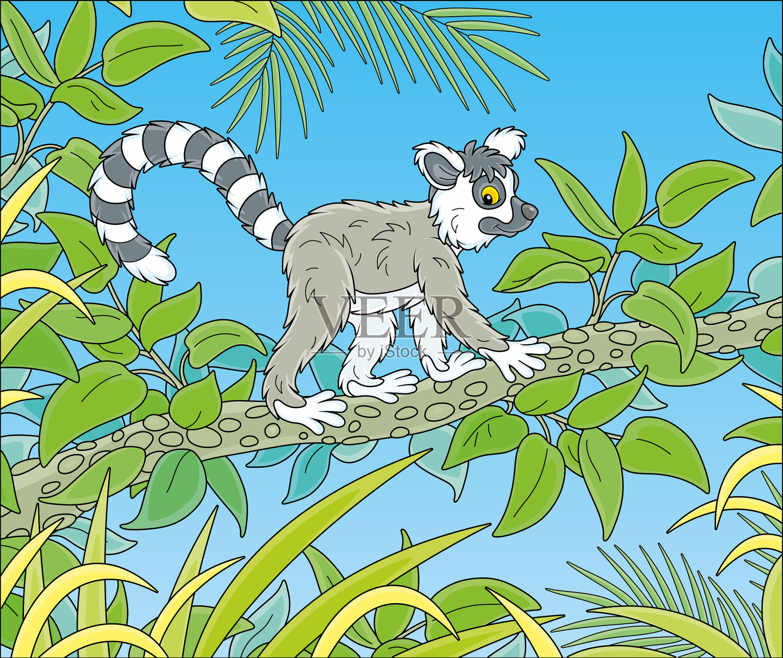 奇异的热带狐猴行走插画图片素材