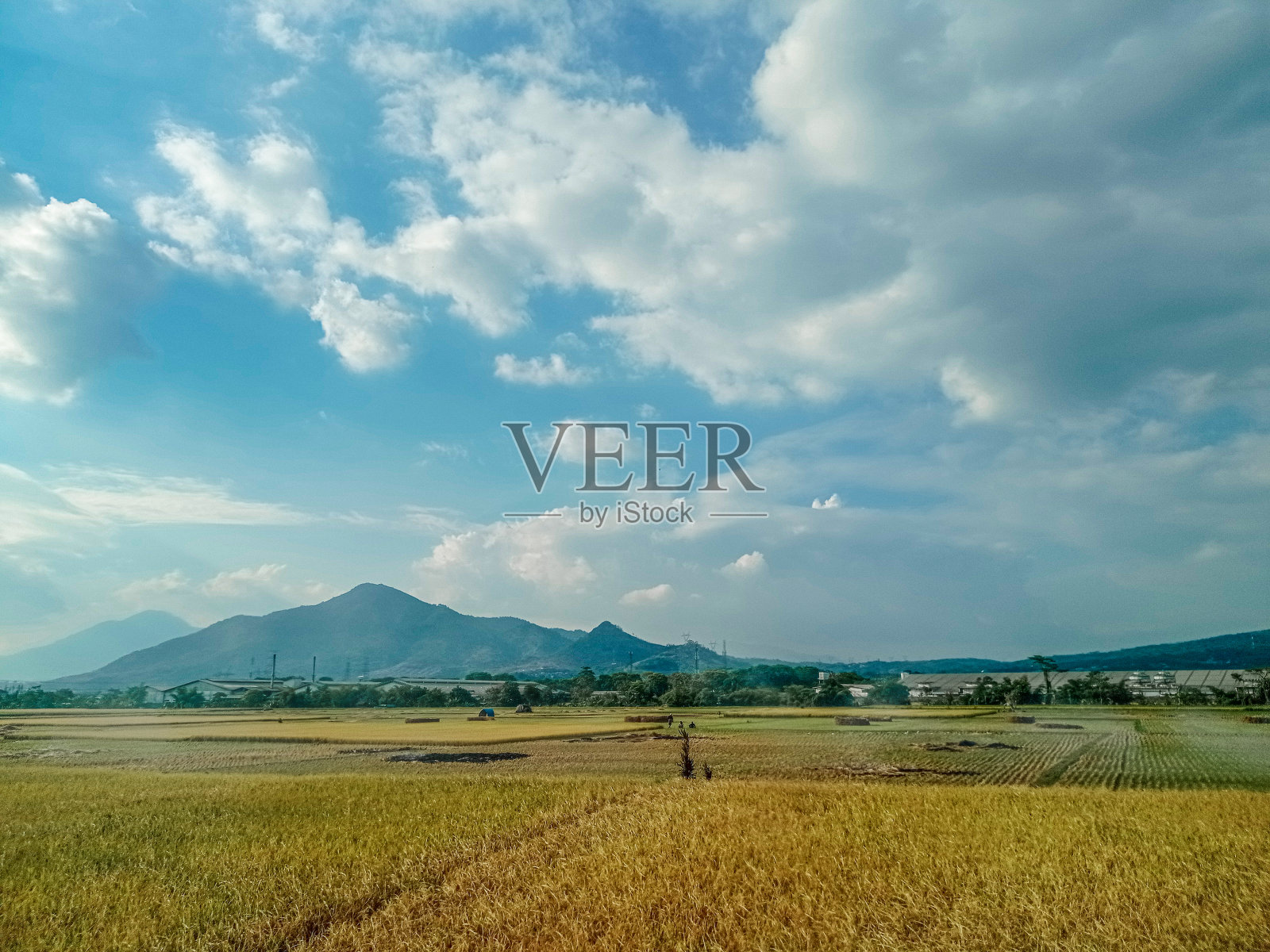 美丽的稻田、山脉和天空照片摄影图片