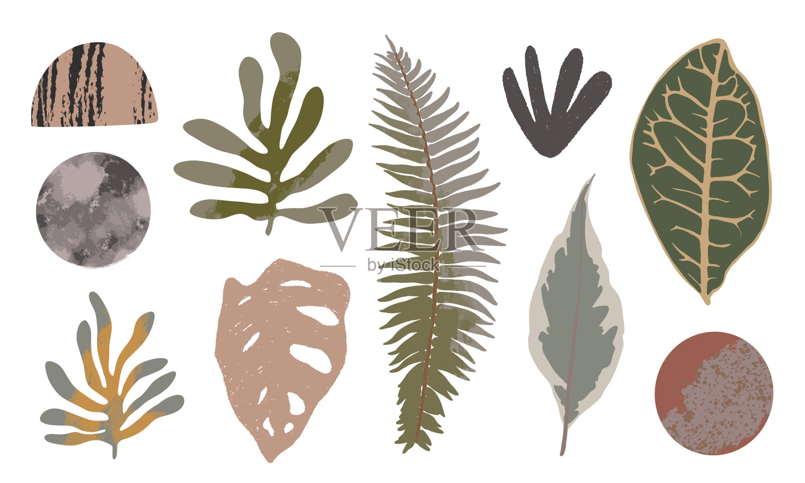 手绘的抽象形状和叶子孤立在白色背景上。插画图片素材