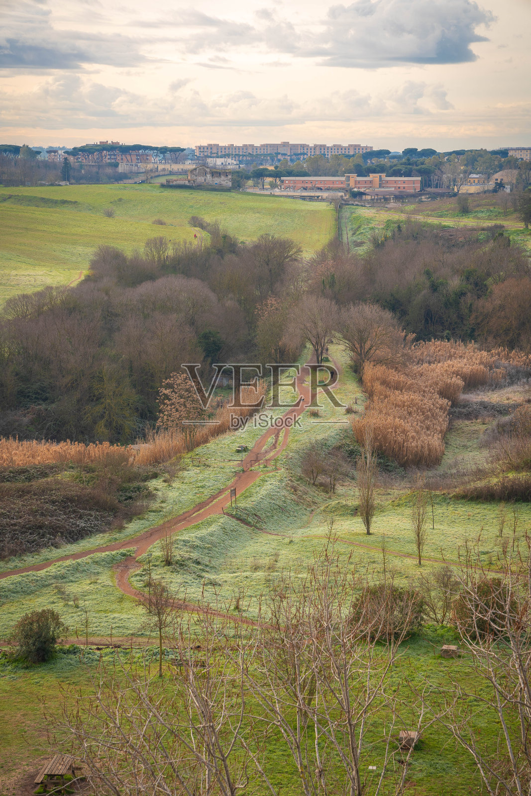 意大利罗马郊区田野和灌木丛中的小路照片摄影图片