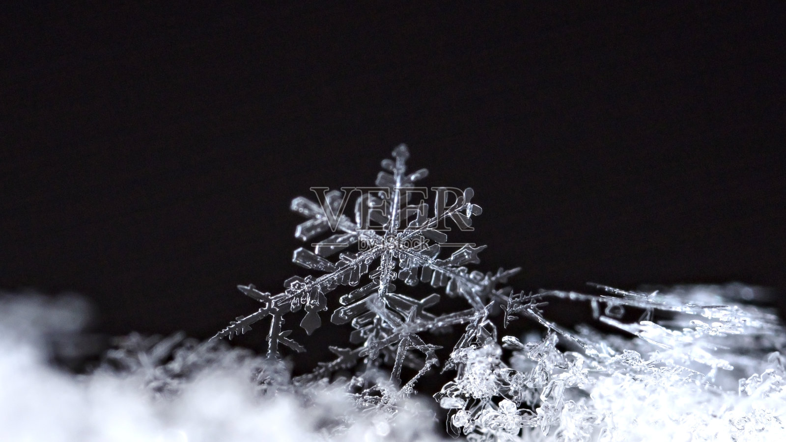 雪花在雪地上。寒假和圣诞节的背景照片摄影图片