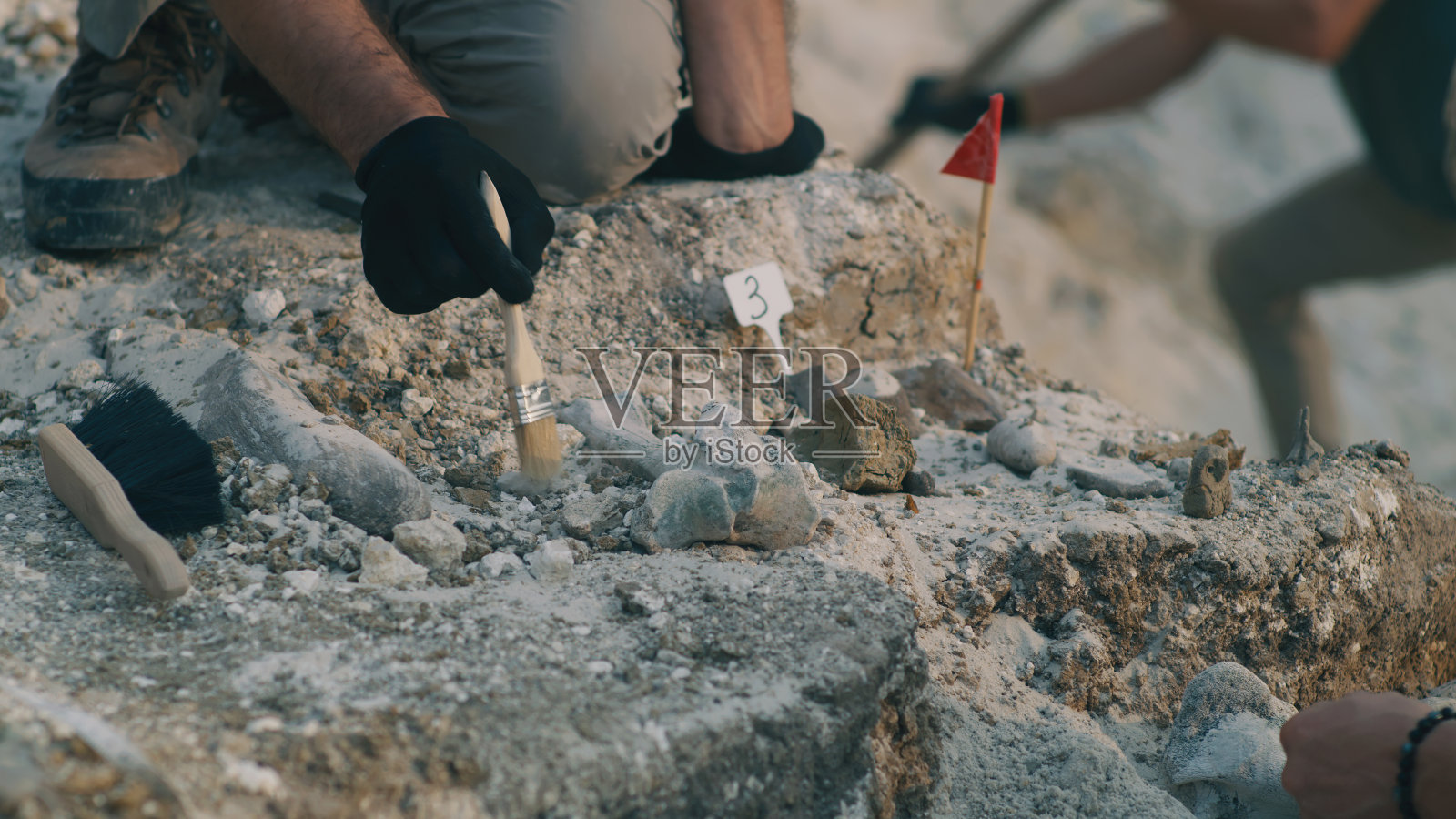 农作物考古学家在岩石上挖掘骨头照片摄影图片
