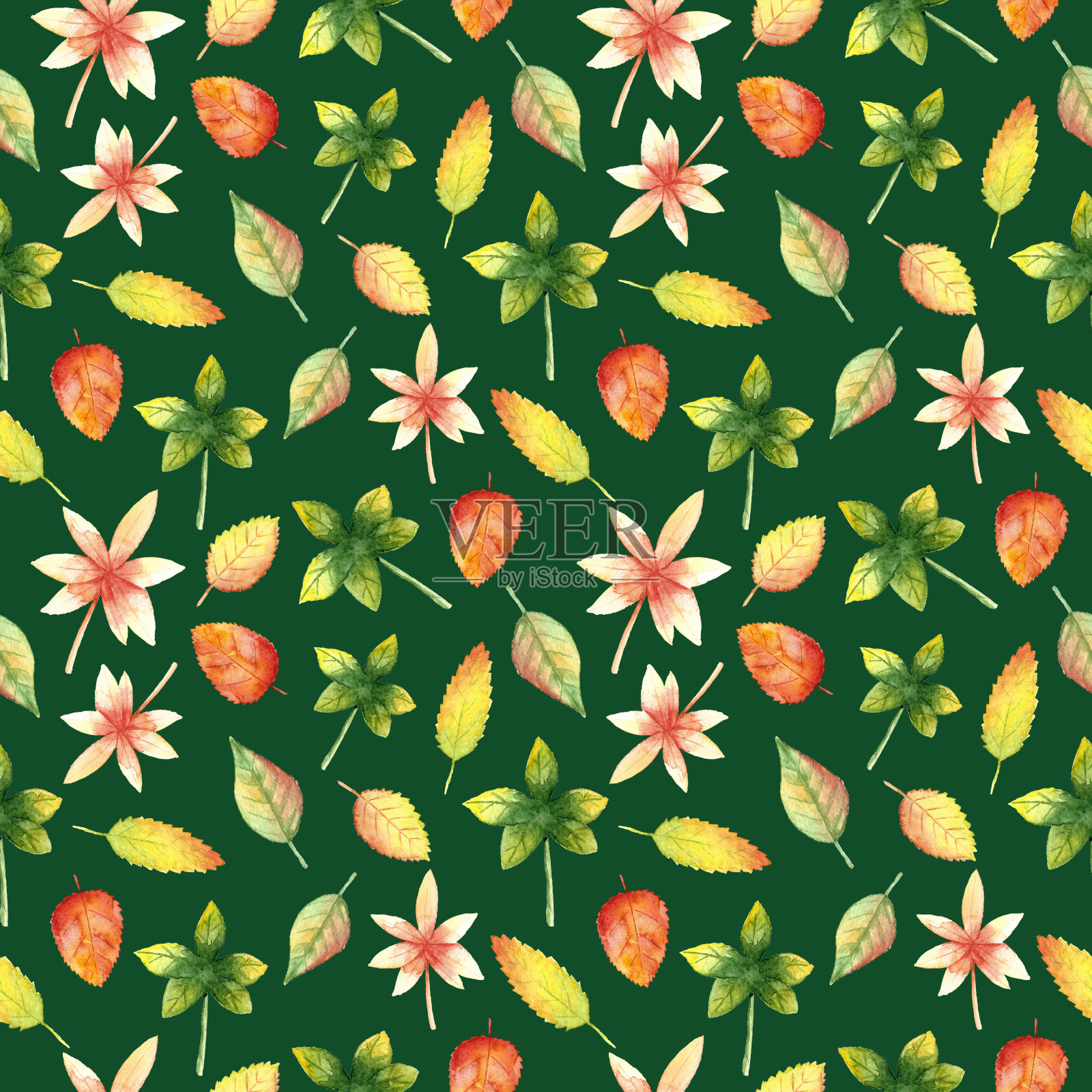 秋叶上的绿色图案插画图片素材
