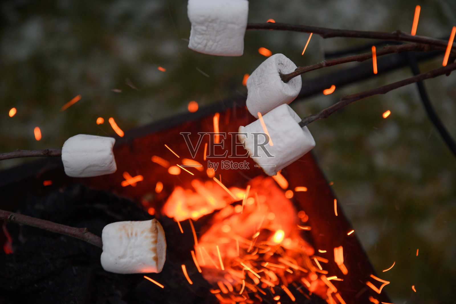 晚上在火上烤棉花糖。照片摄影图片