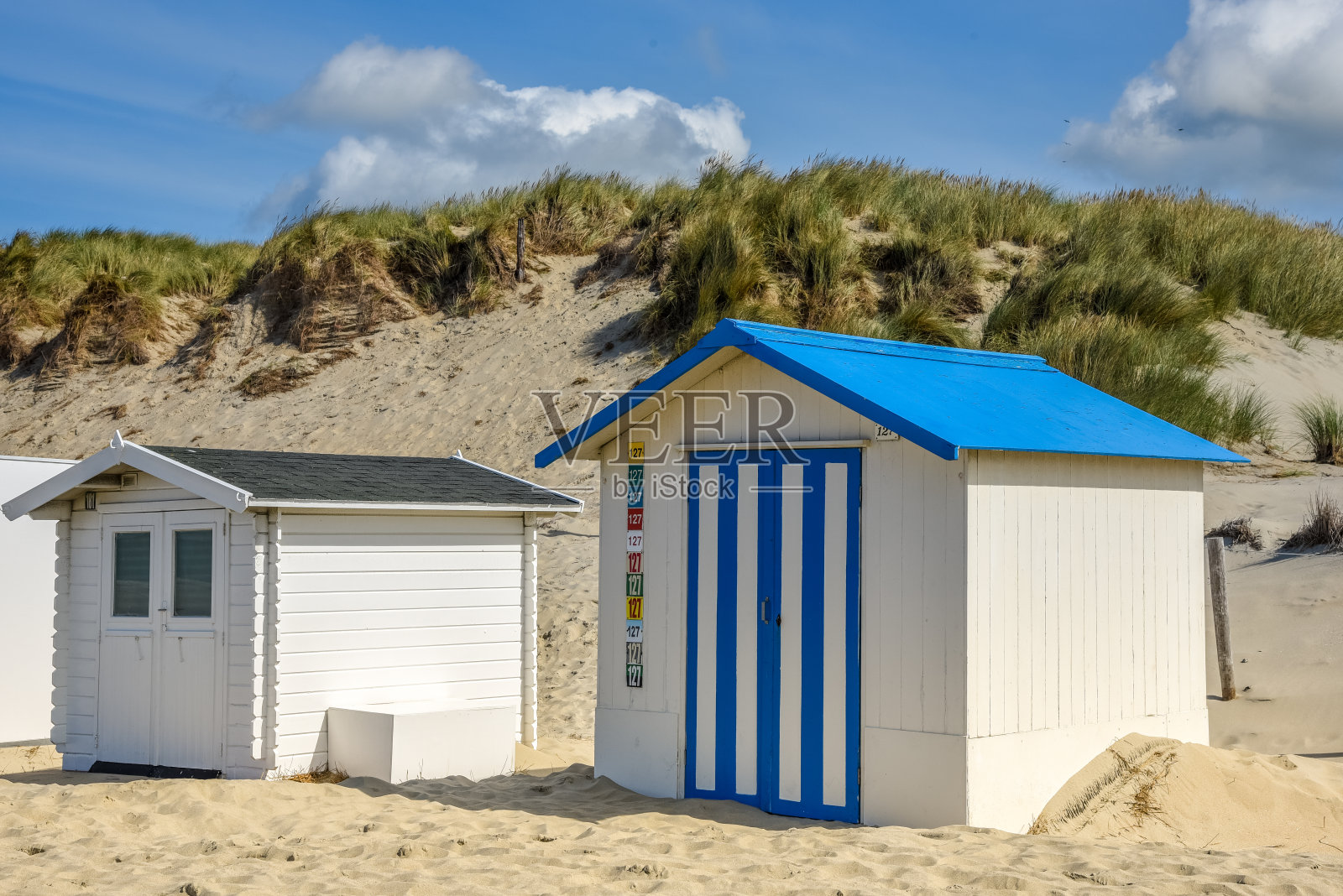 荷兰特塞尔绵羊。2021年8月。特克塞尔瓦登岛海滩上的海滩别墅。照片摄影图片