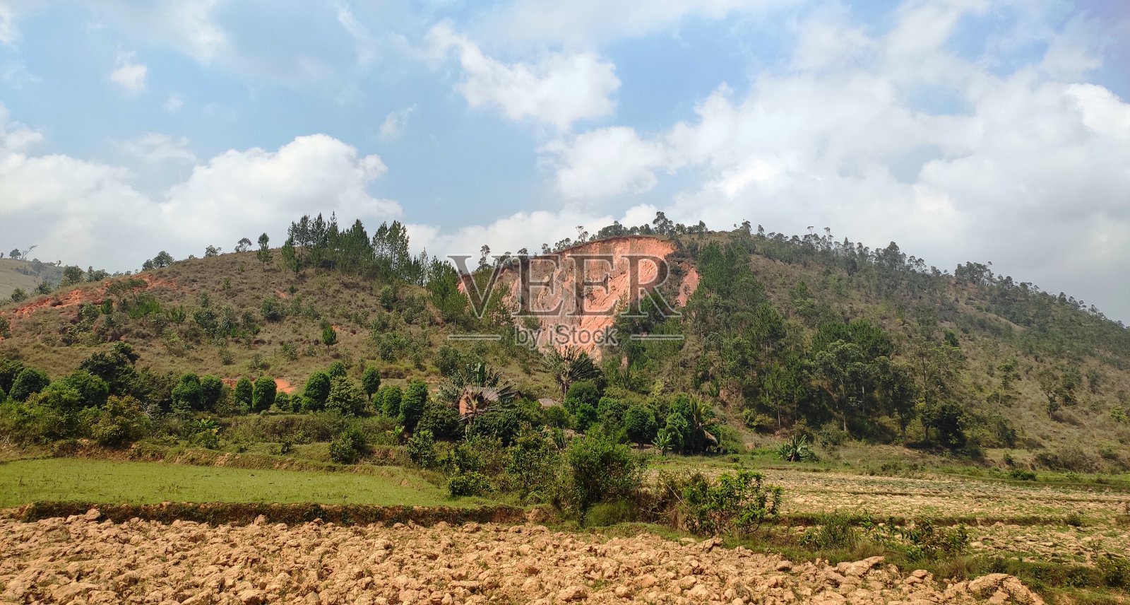 马达加斯加自然照片摄影图片