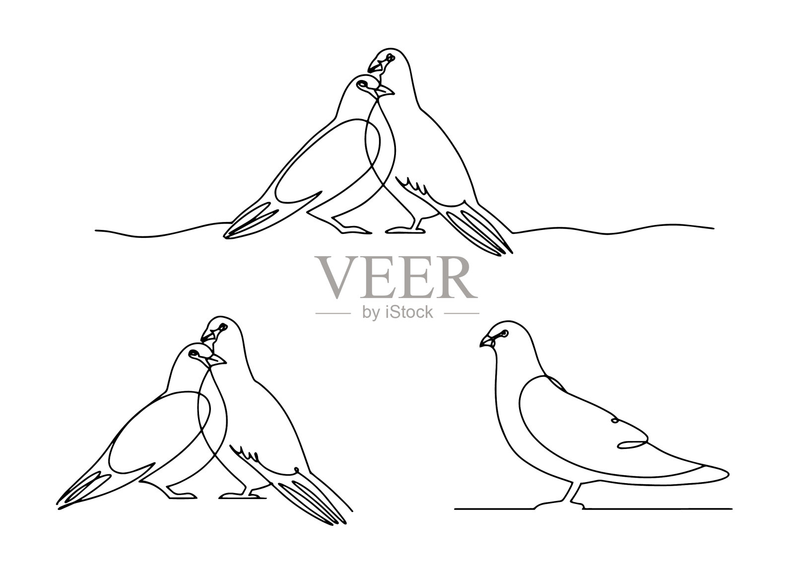 集线艺术鸽子鸟夫妇插画图片素材