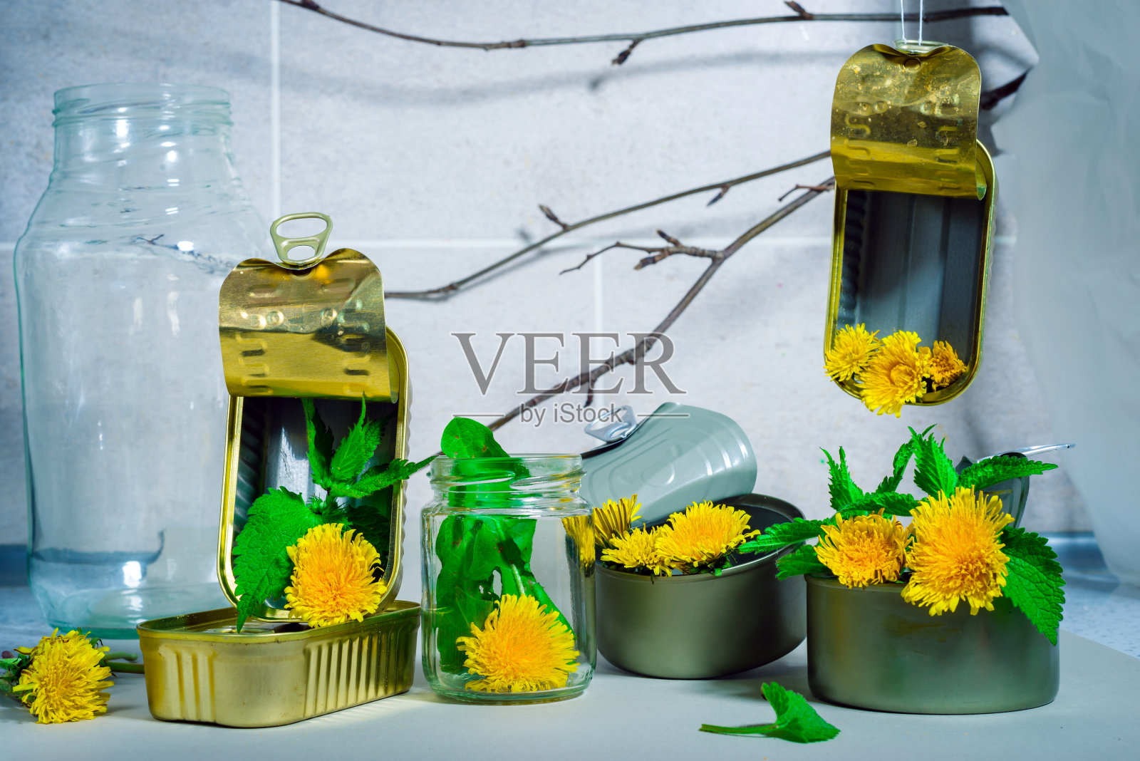 拯救地球照片摄影图片