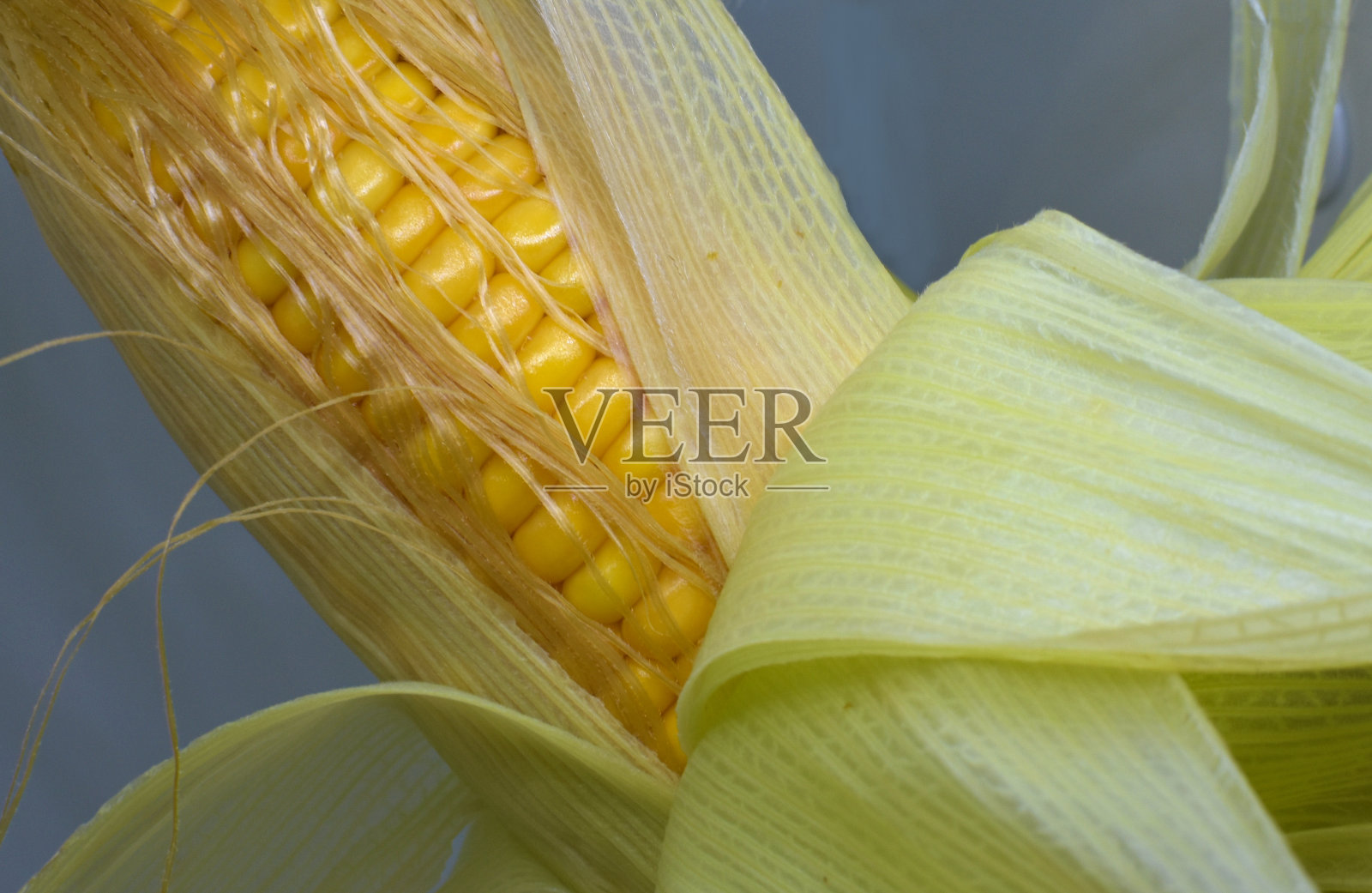 黄色玉米背景的照片，抽象的背景。玉米健康有机营养丰收季节概念。照片摄影图片