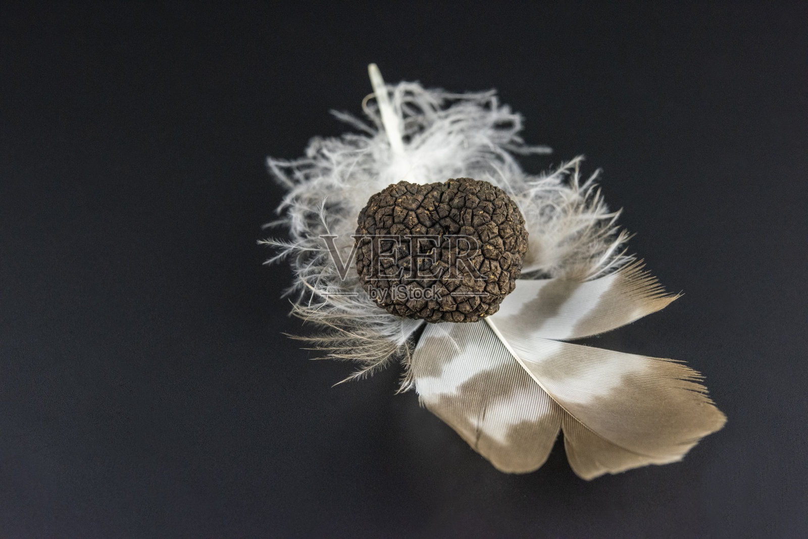 夏季松露和勃艮第松露，来自大自然的新鲜食材照片摄影图片