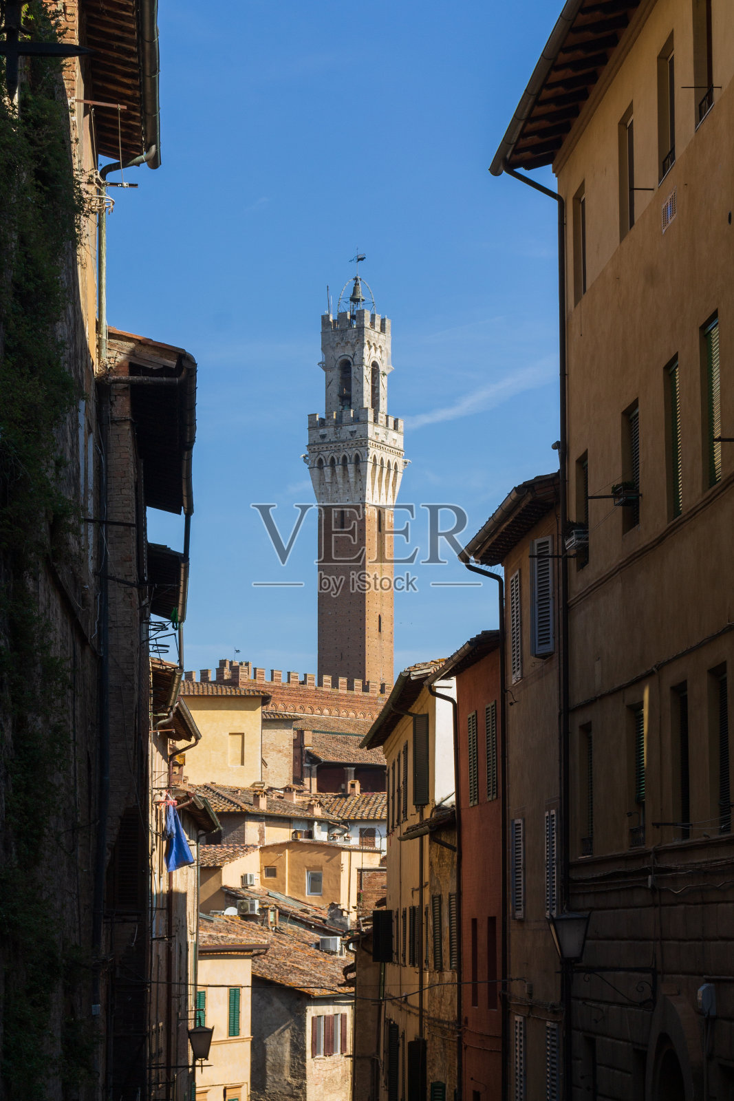 锡耶纳市的高角度视图。背景:Torre del Mangia (Mangia塔)。照片摄影图片