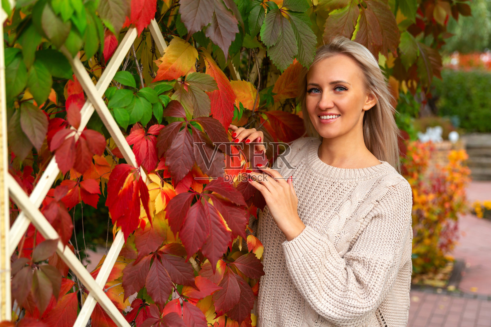 穿毛衣的女人站在秋叶黄叶旁照片摄影图片