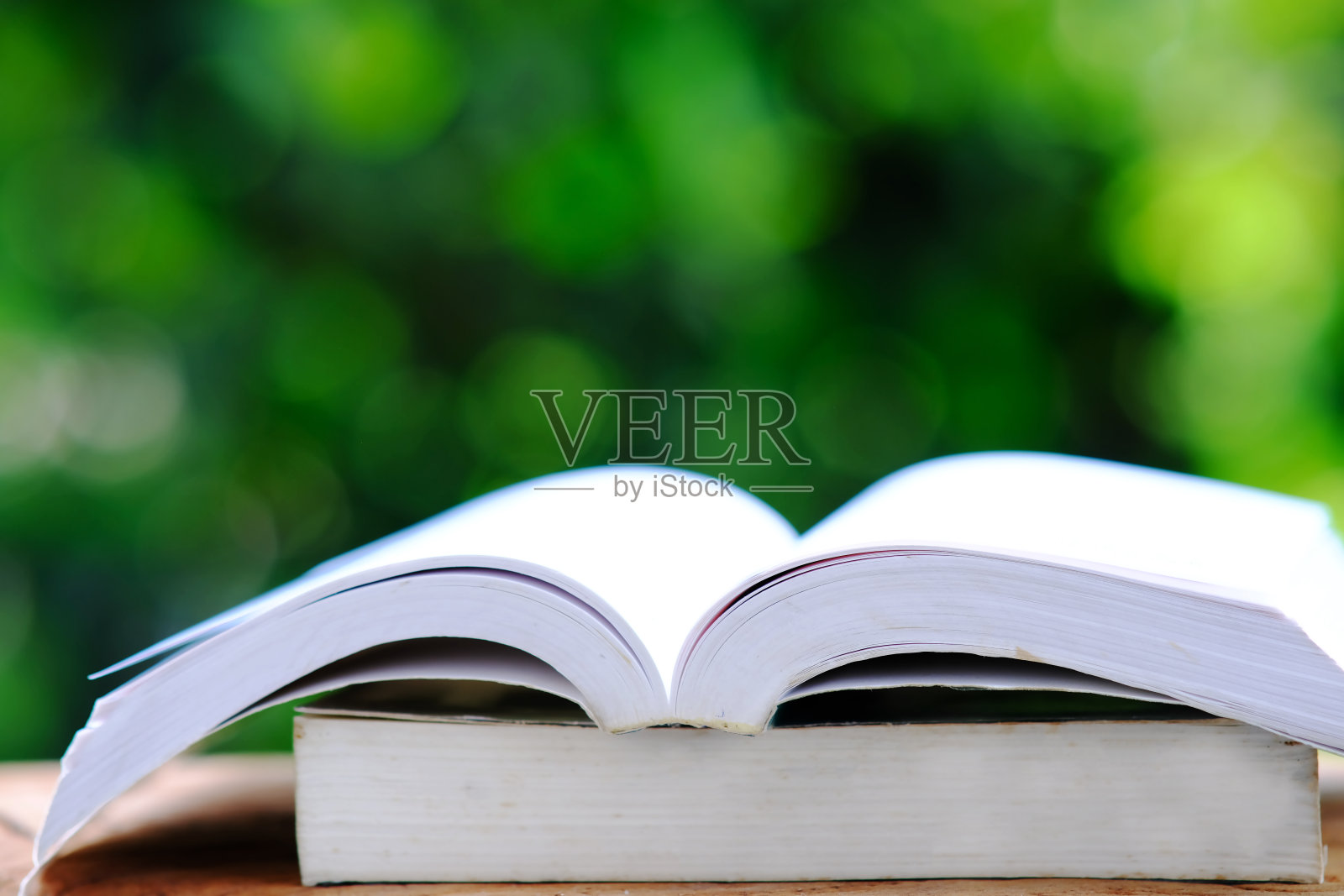 教育与返校理念，翻开书本上的绿色背景照片摄影图片