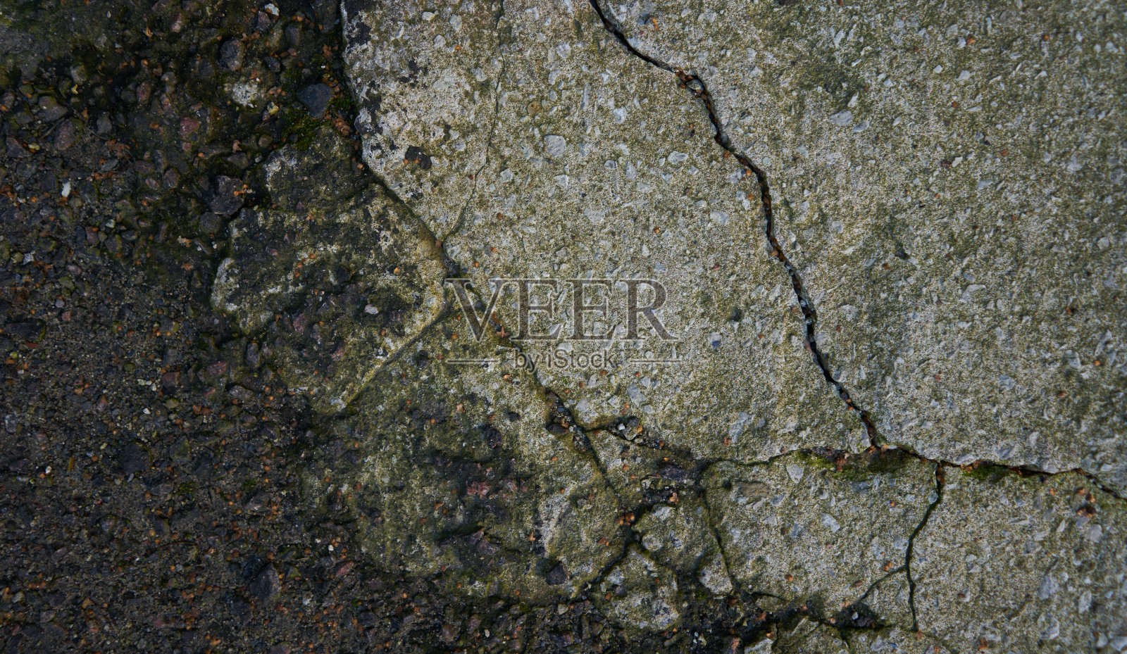 苔绿色纹理。苔藓的背景。绿色苔藓上的垃圾纹理，背景。长网络横幅照片摄影图片