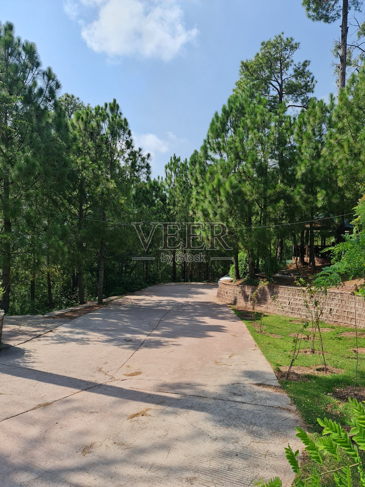 加入伊斯兰堡巴基斯坦照片摄影图片