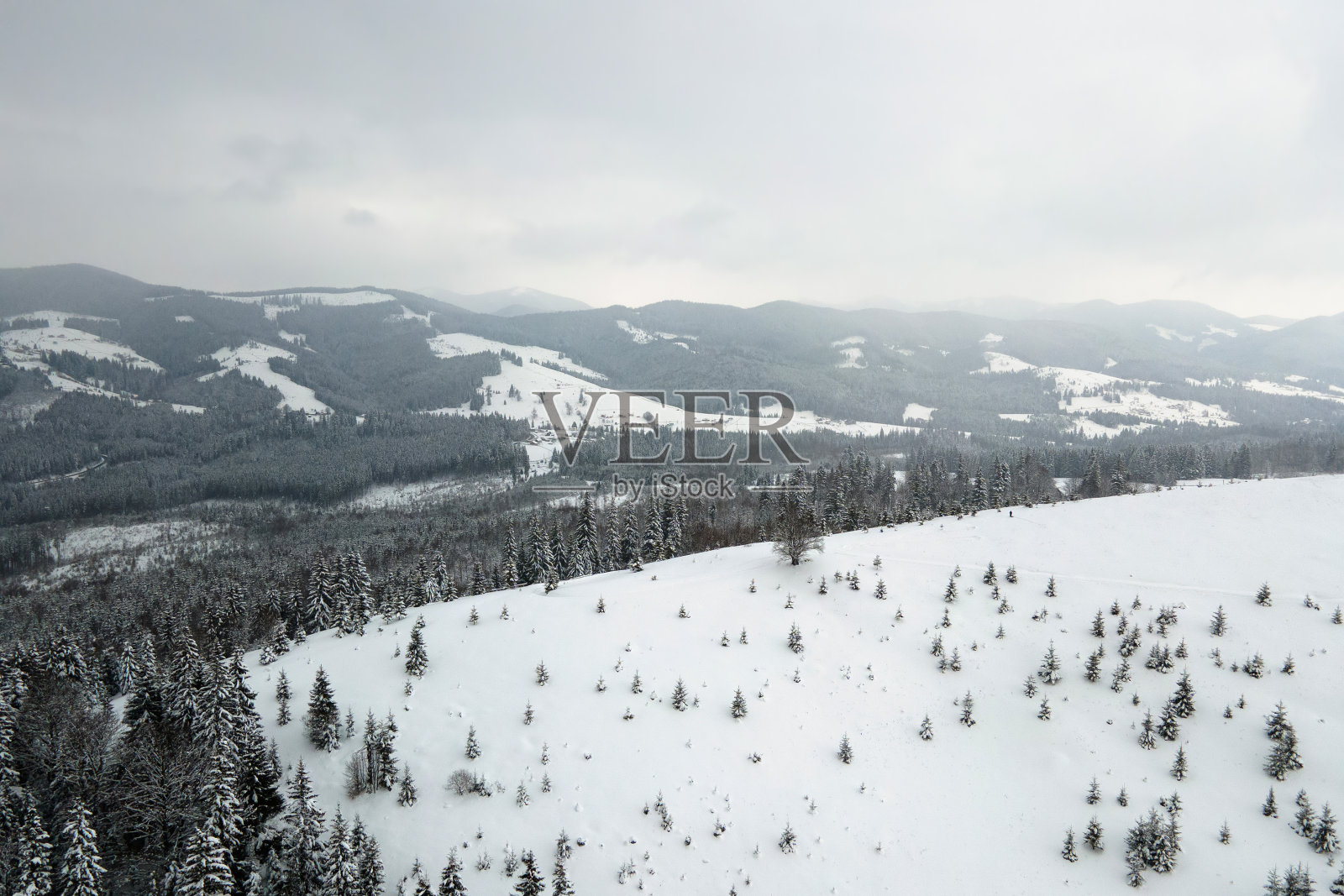 在寒冷宁静的夜晚，鸟瞰覆盖着常绿松林的小山。照片摄影图片