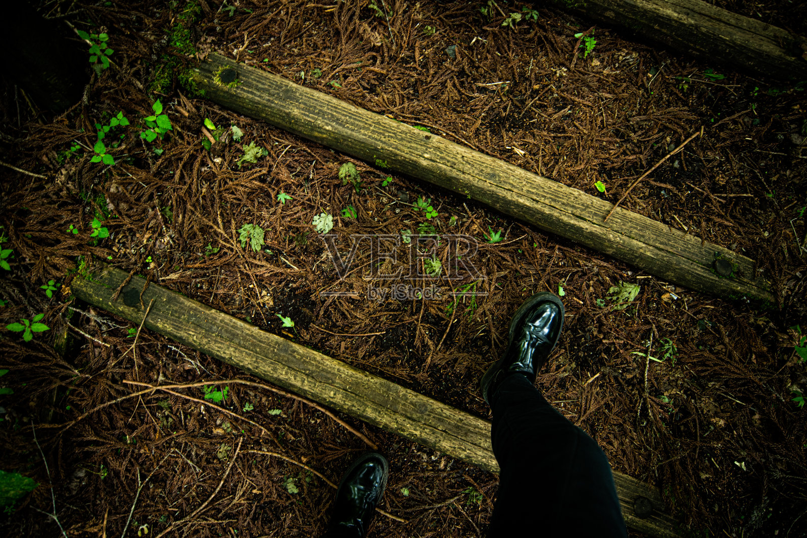 在秋天的森林里散步照片摄影图片