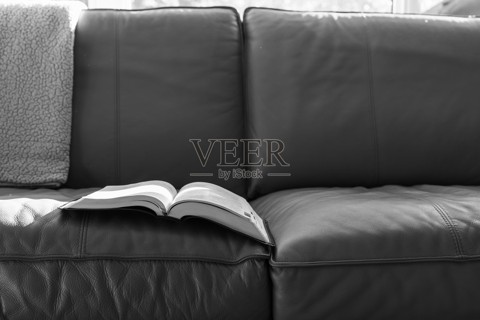 沙发上打开圣经照片摄影图片