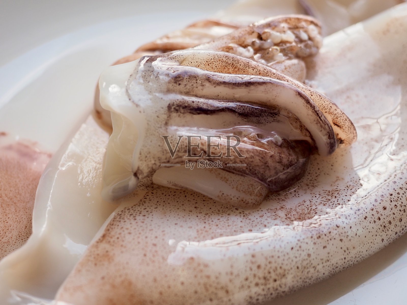 新鲜海鲜鱿鱼，食品配料照片摄影图片