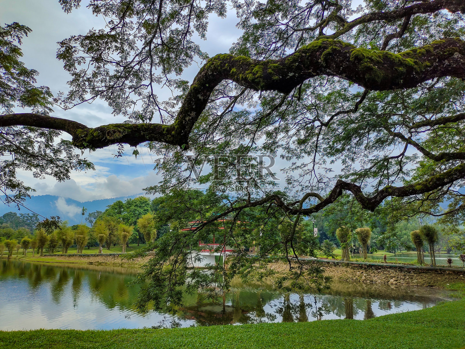 太平湖花园景照片摄影图片