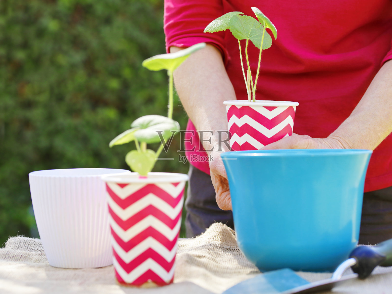 站着的女人手里拿着植物，正面看。准备好工厂照片摄影图片