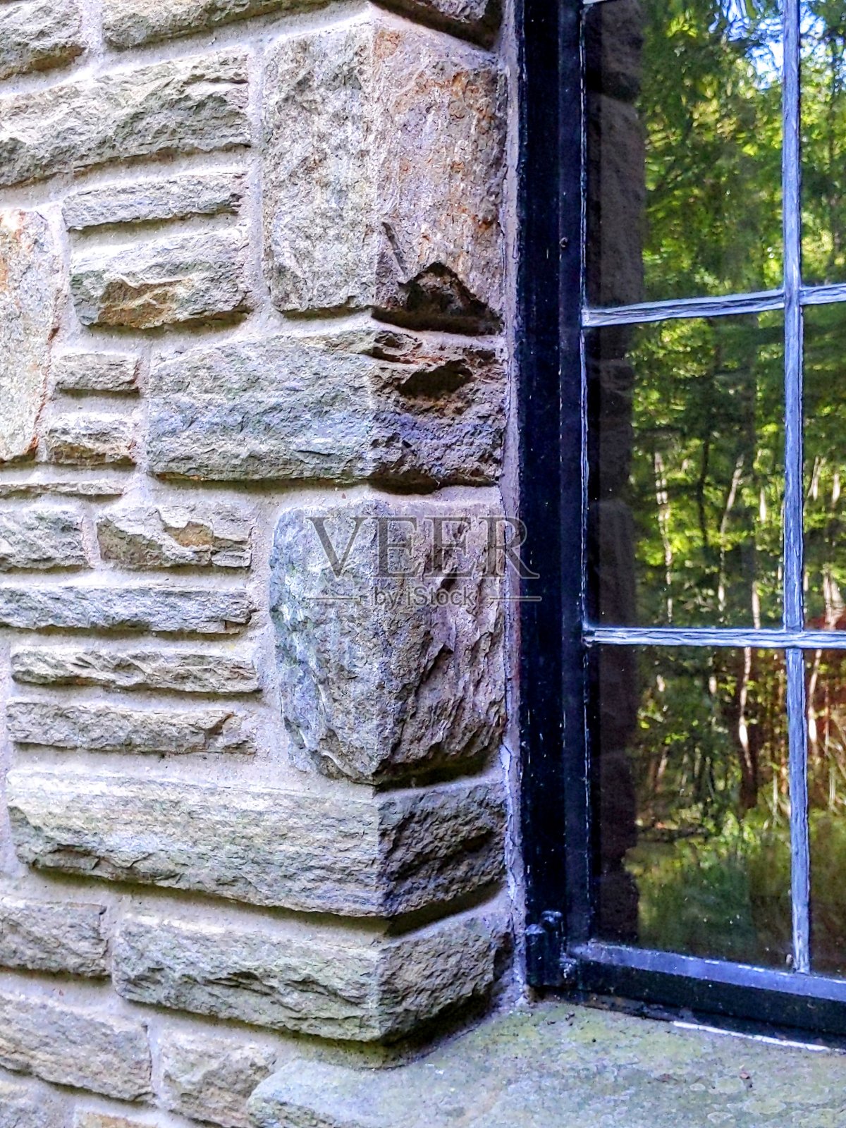 窗口反映了秋天照片摄影图片