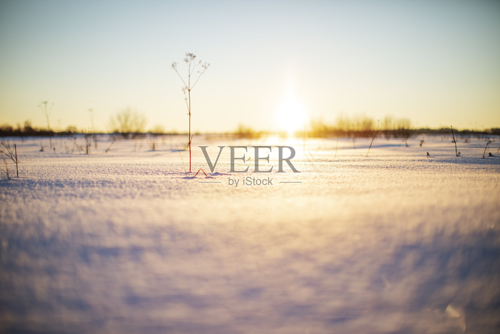 场雪下照片摄影图片