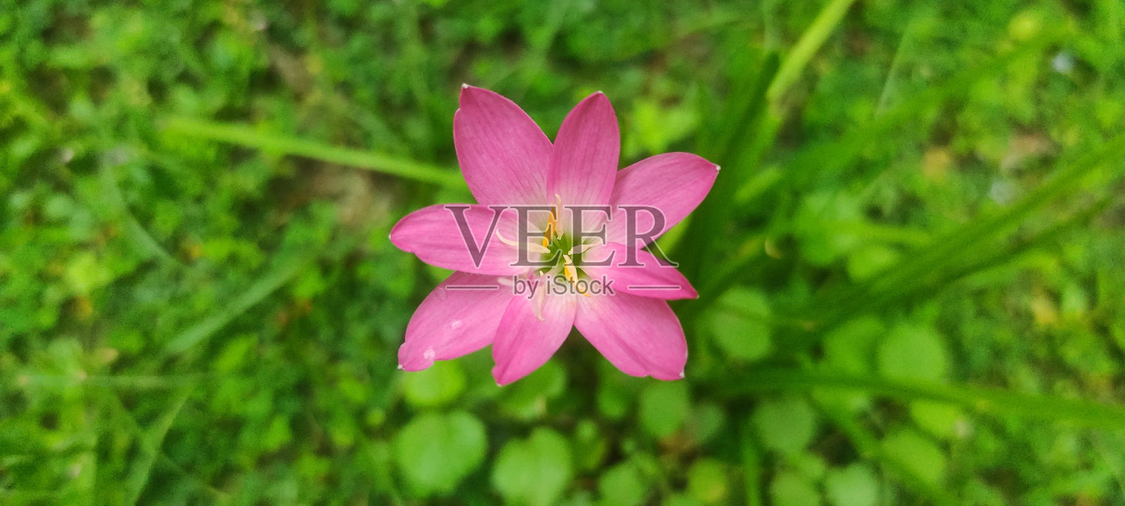 发展的生活照片摄影图片