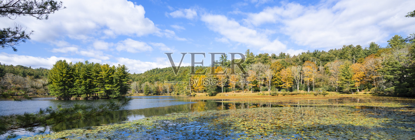 北卡罗莱纳西部美丽的秋天湖泊景观。照片摄影图片