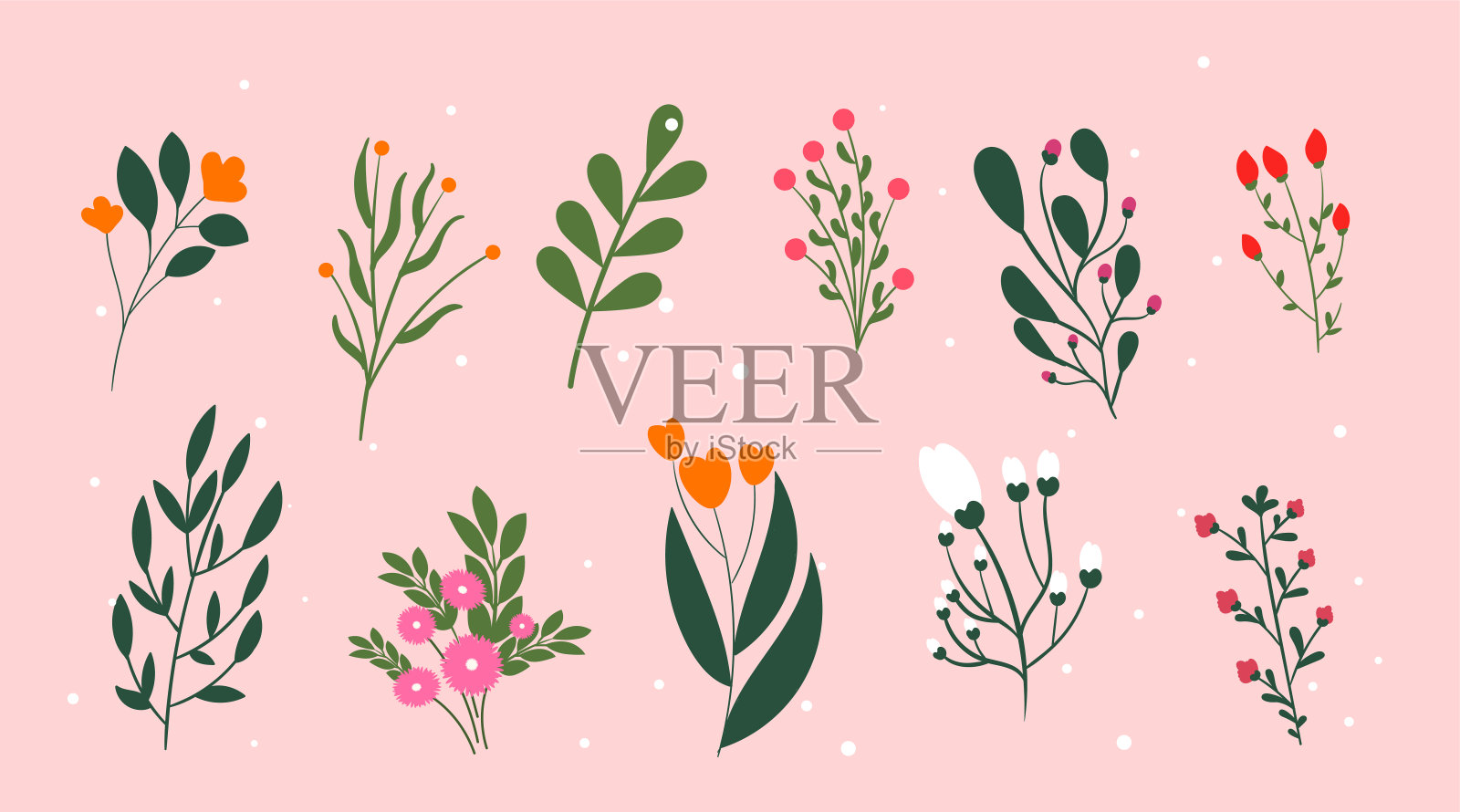 图标与植物的收集插画图片素材